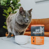 Petcurean Go! Solutions Booster Minced Chicken + Salmon with Gravy for Immune Health Wet Cat Food (2.5 oz)