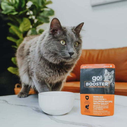 Petcurean Go! Solutions Booster Minced Chicken + Salmon with Gravy for Immune Health Wet Cat Food (2.5 oz)