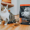 Petcurean GO! Weight Management + Joint Care Grain-Free Salmon Dry Cat Food (3 LB)