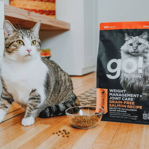 Petcurean GO! Weight Management + Joint Care Grain-Free Salmon Dry Cat Food (3 LB)