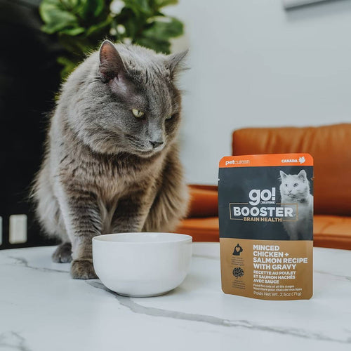 Petcurean Go! Solutions Minced Chicken + Salmon with Gravy for Brain Health Wet Cat Food (2.5 oz)