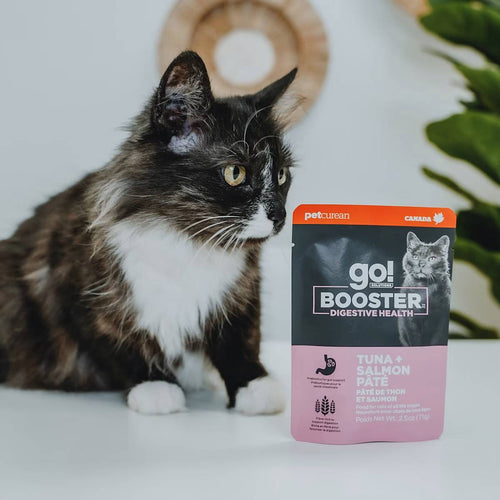 Petcurean Go! Solutions Booster Tuna + Salmon Pâté for Digestive Health Wet Cat Food (2.5 oz)