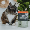 Petcurean Go! Solutions Booster Shredded Chicken + Duck in Broth for Weight Management Wet Cat Food (2.5 oz)