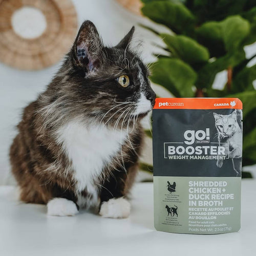Petcurean Go! Solutions Booster Shredded Chicken + Duck in Broth for Weight Management Wet Cat Food (2.5 oz)