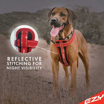 EzyDog Chest Plate Harness