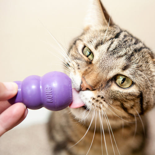 Kong Kitty Kong Treat Dispensing Cat Toy (Small / Purple)