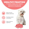 Outward Hound Fun Feeder Star Small Red
