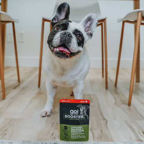 Petcurean Go! Solutions Booster Chicken, Salmon + Duck Pâté for Joint Care Wet Dog Food (2.8 oz)