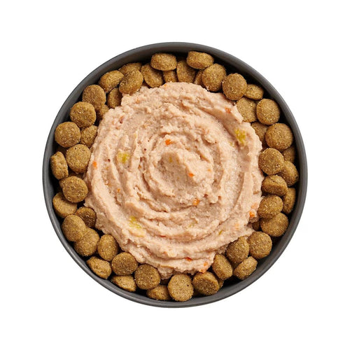 Petcurean Go! Solutions Booster Chicken, Salmon + Duck Pâté for Joint Care Wet Dog Food (2.8 oz)