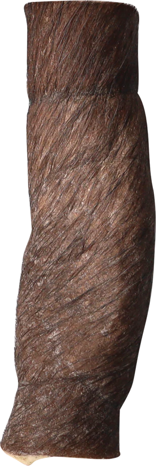 QT Dog Water Buffalo Hairy Cheek Rolls 6