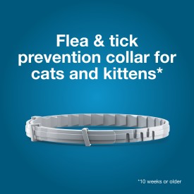 Seresto Flea and Tick Collar for Cats (1 Pack)