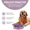 Outward Hound Fun Feeder Yin Yang Purple Large Slow Feed Bowl