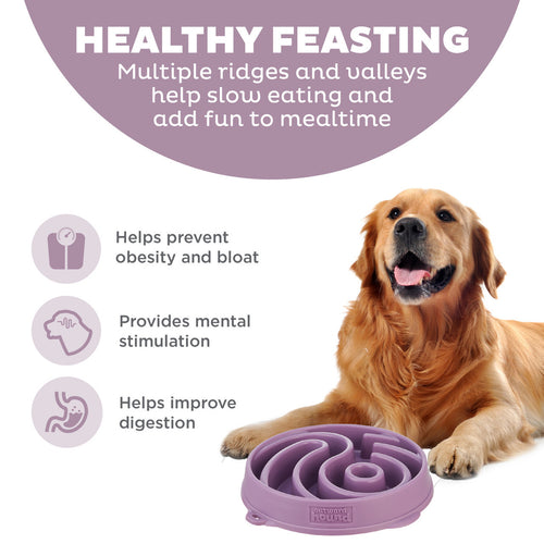 Outward Hound Fun Feeder Yin Yang Purple Large Slow Feed Bowl