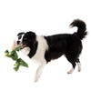 Tall Tails  Jointed Shake Play Dog Toy (Gator)