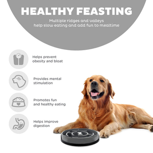 Outward Hound Fun Feeder Slo Bowl Gray Large
