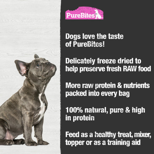 PureBites Freeze Dried Salmon Dog Treats (2.47-oz)