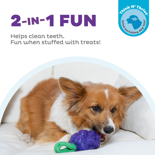 Outward Hound Dental Grapes Dental Chew Toy and Interactive Treat Stuffer