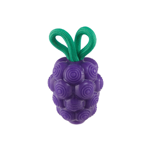 Outward Hound Dental Grapes Dental Chew Toy and Interactive Treat Stuffer