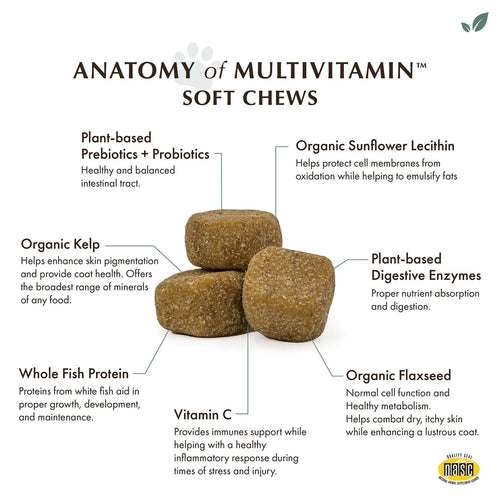 Wholistic Pet Organics Enhanced Daily Multivitamin for Dogs