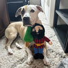 Tall Tails Paul Bunyan Rope Body Dog Toy (14)