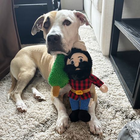 Tall Tails Paul Bunyan Rope Body Dog Toy (14)