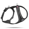 Curli Belka Comfort Dog Harness