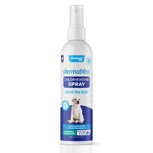 Vetnique Labs Dermabliss™ Anti-Bacterial & Anti-Fungal Chlorhexidine Antiseptic Spray