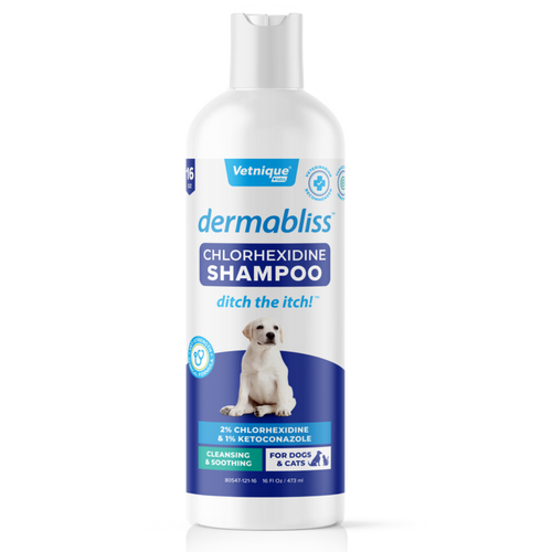 Vetnique Labs Dermabliss™ Anti-Bacterial & Anti-Fungal Chlorhexidine Shampoo