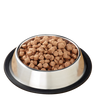 Primal Pet Foods Feline Raw Frozen Pronto (Turkey 1 Lb)