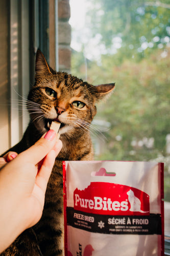 PureBites Freeze Dried Chicken Breast Cat Treats (0.6-oz)