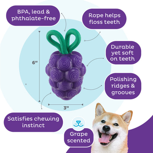 Outward Hound Dental Grapes Dental Chew Toy and Interactive Treat Stuffer