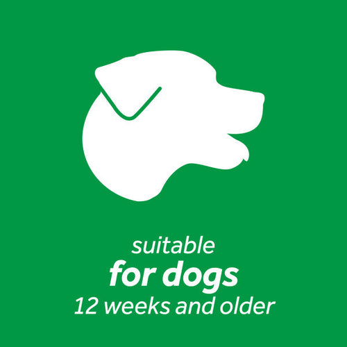 TropiClean Fresh Breath Dental Wipes for Dogs (50 ct)