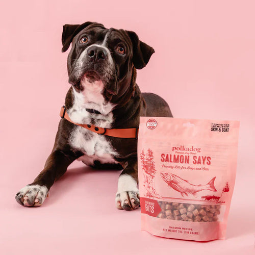 Polkadog Salmon Says (Bits) Dog Treats (7oz)