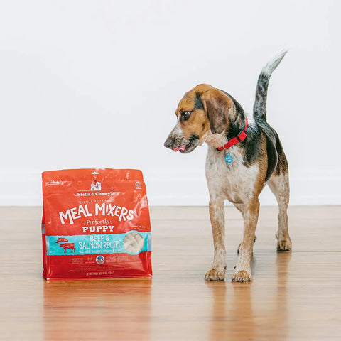 Stella & Chewy's Perfectly Puppy Beef & Salmon Freeze Dried Meal Mixer For Dogs
