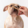 Polkadog Atlantic Silverside Crunchy Whole Fish Treats for Dogs & Cats