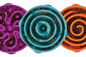 Outward Hound Slow Feeder Dog Bowl