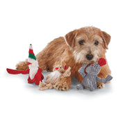 HuggleHounds Wee Huggles Holiday Dog Toys