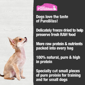 PureBites Salmon Mini-PureBites Dog Treat (1.7 Oz)