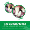 TropiClean Fresh Breath Dental & Oral Care Brushing Gel for Pets (2 oz)
