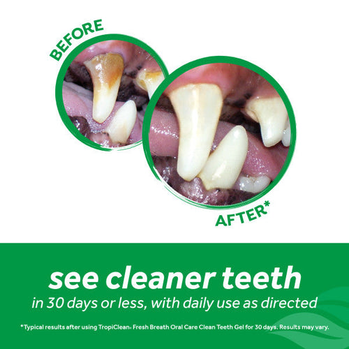 TropiClean Fresh Breath Dental & Oral Care Brushing Gel for Pets (2 oz)