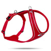 Curli Belka Comfort Dog Harness (Black XS)