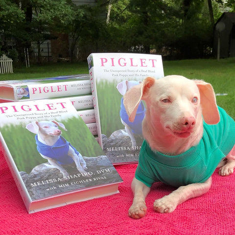 The Unexpected Story of a Deaf, Blind, Pink Puppy and His Family book