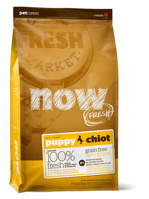 Petcurean Now Fresh Grain Free Puppy Dry Dog Food