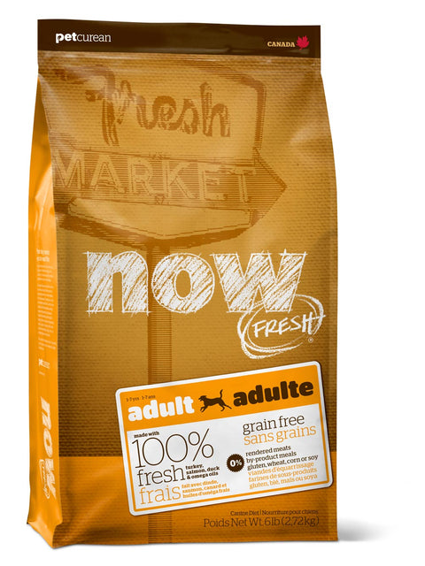 Petcurean Now Fresh Grain Free Adult Dry Dog Food