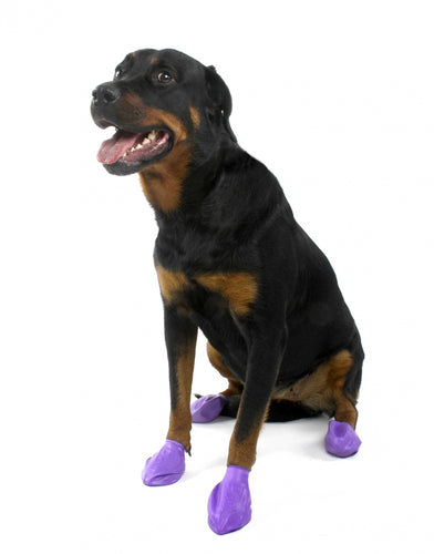 Pawz Waterproof Dog Boots