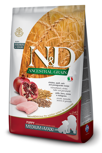 Farmina N&D Ancestral Grain Chicken & Pomegranate Maxi Puppy Dry Dog Food