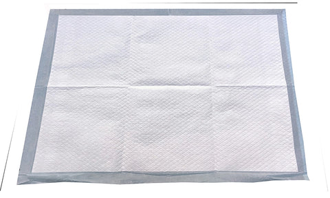 Wiz-B-Gone Training Pads