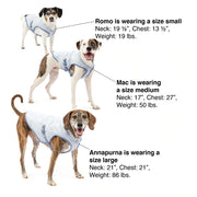 Kurgo Dog Core Cooling Vest