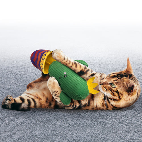 KONG Wrangler Cactus Cat Toy