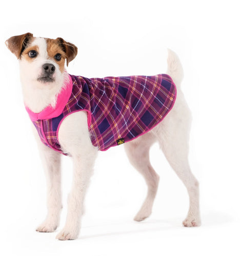 Gold Paw Double Fleece Plaids